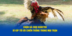 chon-ga-choi-hubet-bi-kip-toi-uu-chien-thang-trong-moi-tran