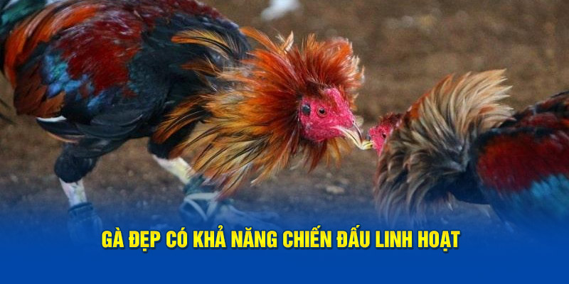 ga-dep-co-kha-nang-chien-dau-linh-hoat