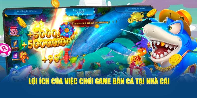 loi-ich-cua-viec-choi-game-ban-ca-tai-nha-cai