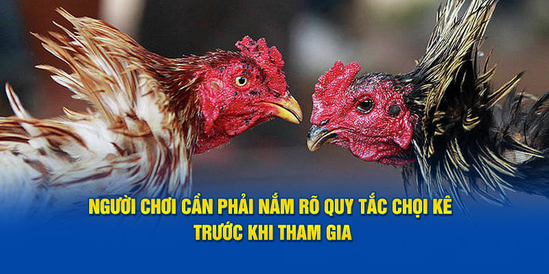 nguoi-choi-can-phai-nam-ro-quy-tac-choi-ke-truoc-khi-tham-gia